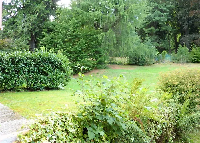 Andromeda Apartament